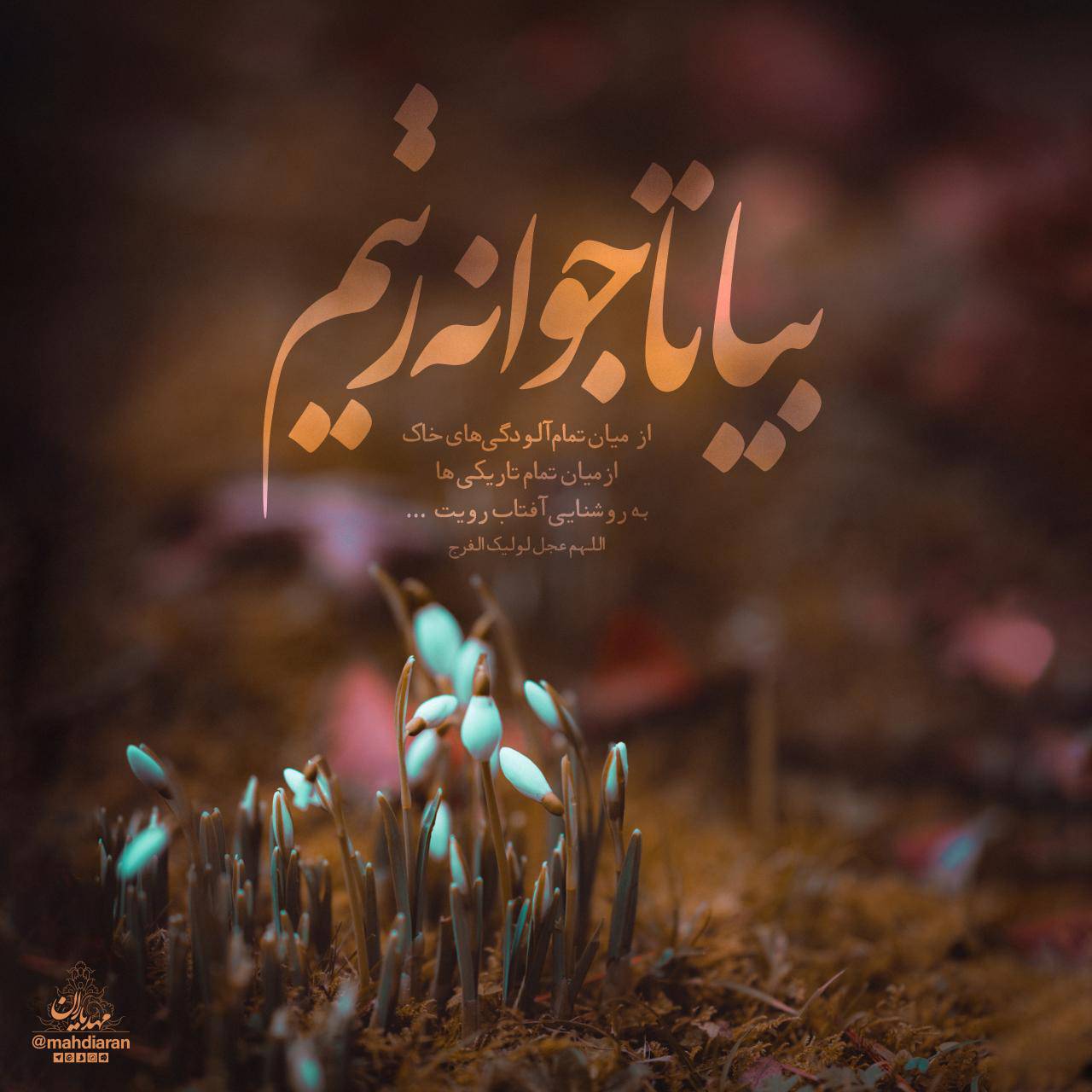 بیا تا جوانه زنیم به روشناییِ آفتابِ رویت...